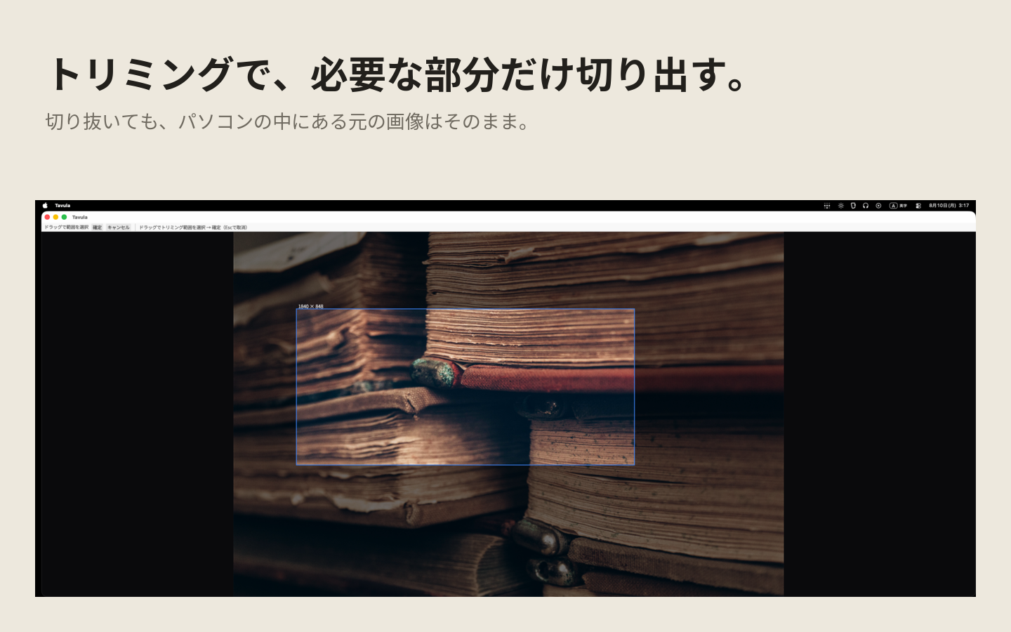 カードの一部をドラッグで囲み、必要な範囲だけに切り出している画面